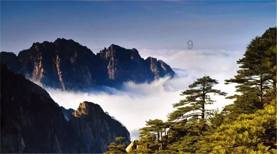 老人帕金森吃什么药好?-专业问答网 首页